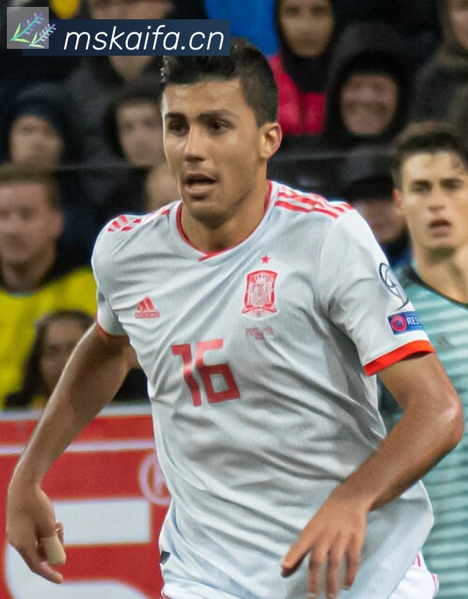 厄林·哈兰德